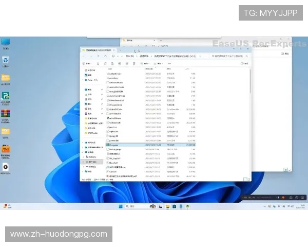 电子pg平台下载安装指南，详细步骤帮助用户安全快速完成软件安装